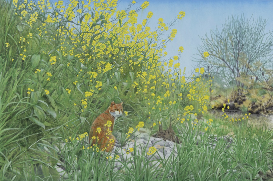 『黄色い猫と花』　日本画M30号（2020年 絵の現在 第44回 選抜展 銅賞受賞作）