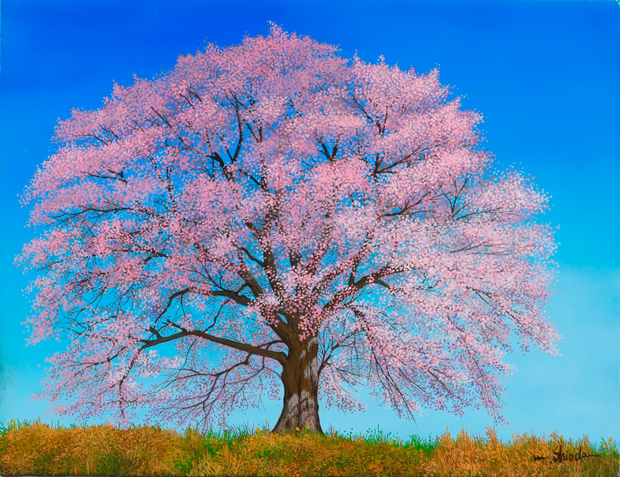一枚の繪 さくら・桜・サクラ絵画展（藤崎本館） | 一枚の繪