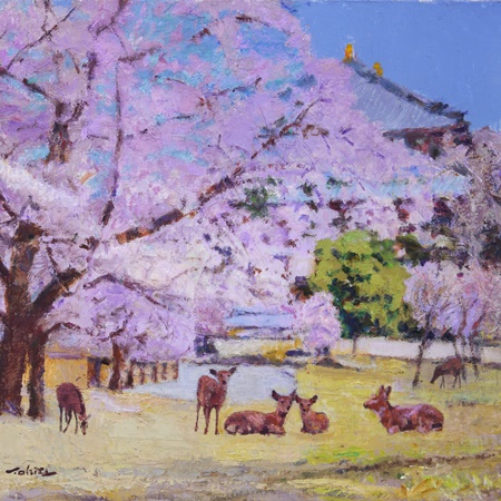 「桜の奈良公園」 油彩6号
