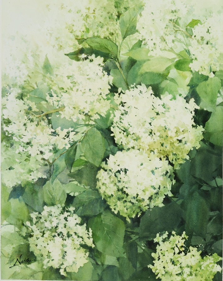 「グリーンベール」 水彩8号大　220,000円