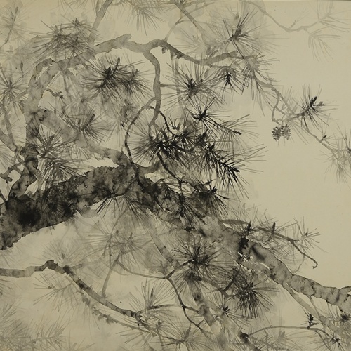 「男松」 水墨69.0×73.2㎝