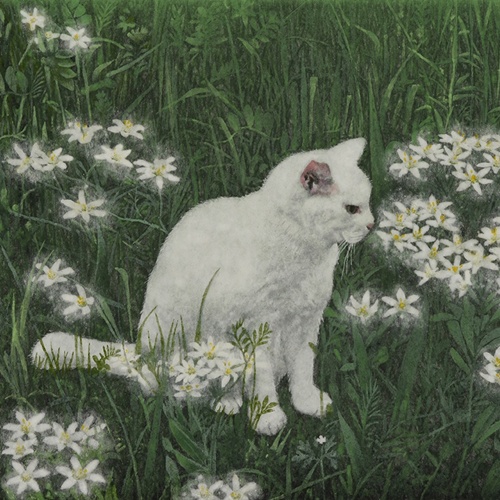 「白い猫と花」 日本画4号