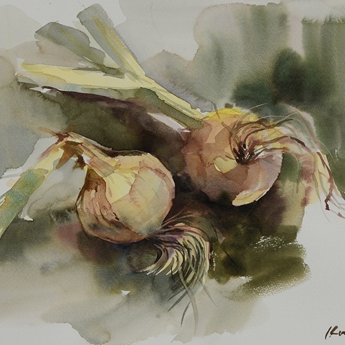 「玉葱」水彩6号大（31.0×40.6cm）